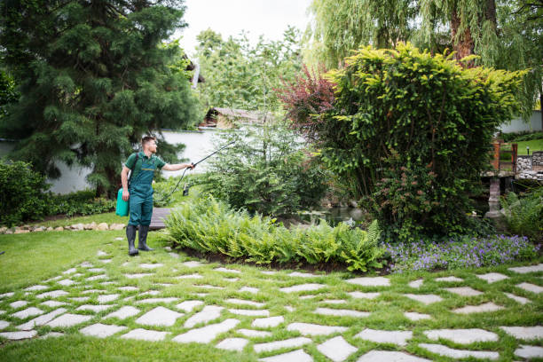 Best Organic Lawn Care Solutions  in Olathe, CO